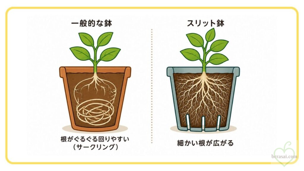 一般的な鉢では根が鉢の中でぐるぐる回りやすく、スリット鉢では細かい根が広がる様子を比較した図