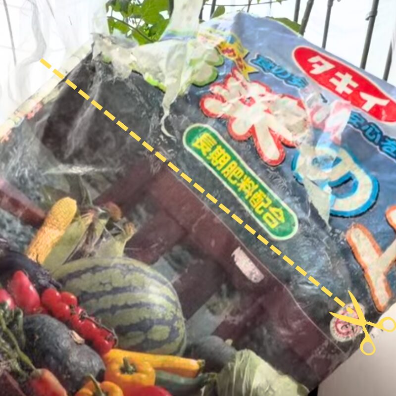 使用済み培養土の袋を再利用 上部をカット