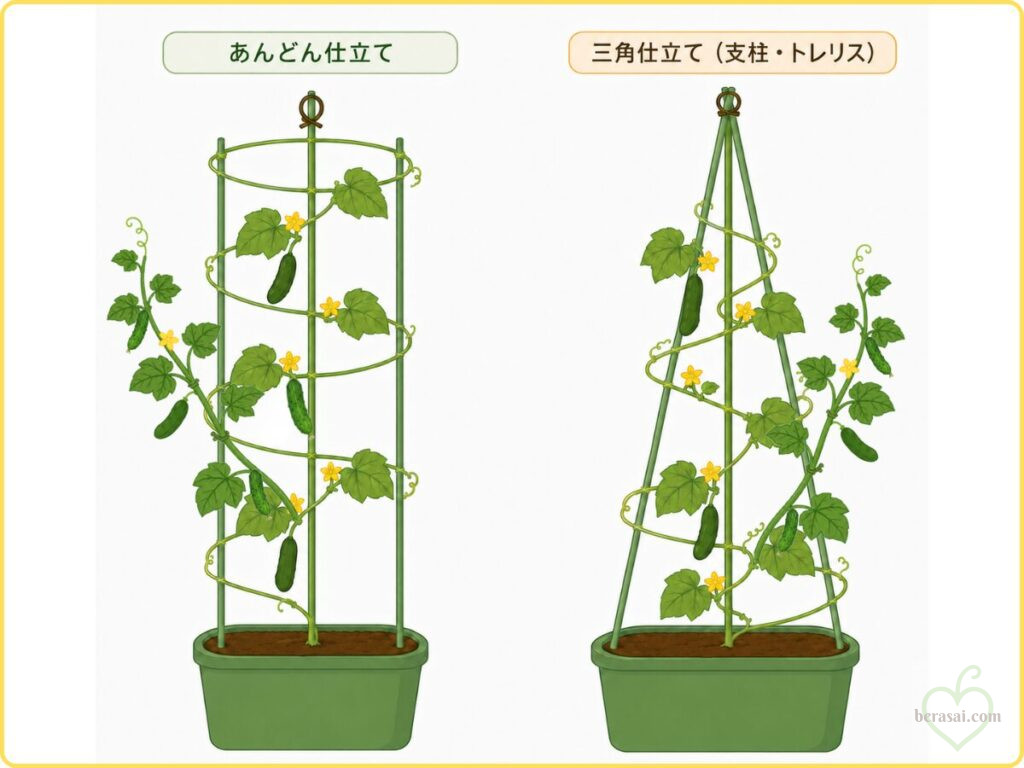 キュウリの主枝＋子づる仕立ての比較図