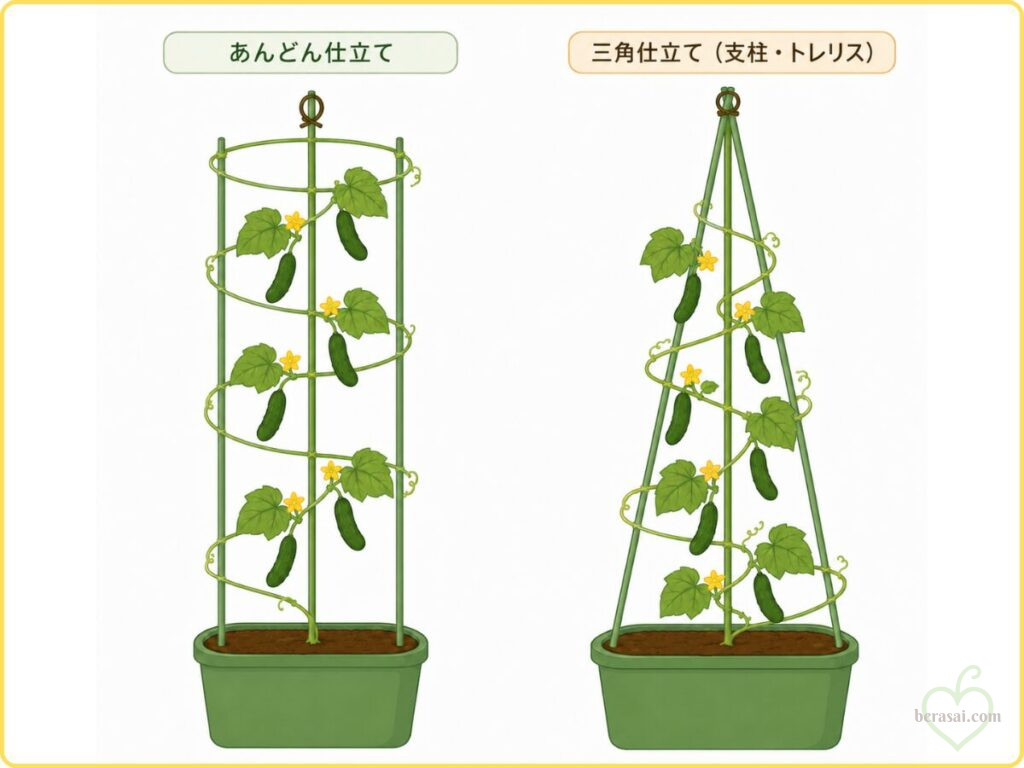 キュウリの主枝1本仕立て｜あんどん仕立てと三角仕立ての比較図