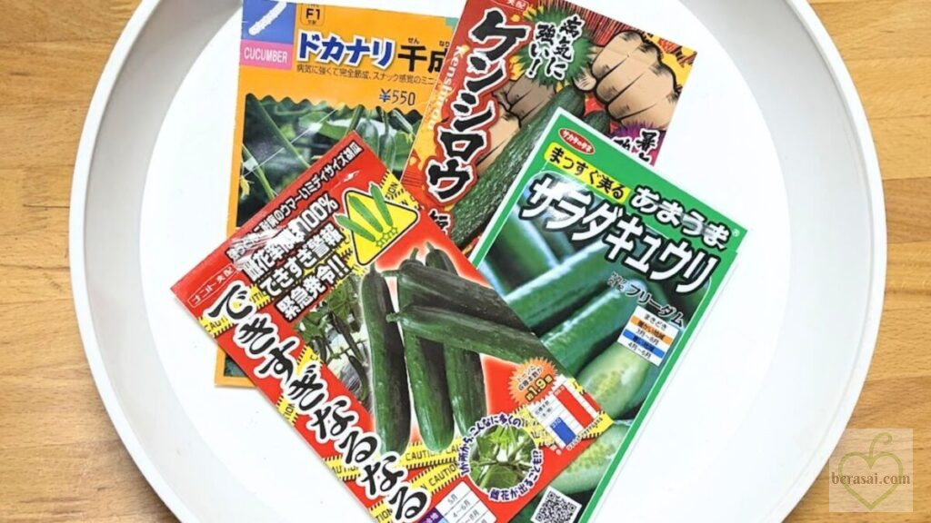キュウリの種袋
