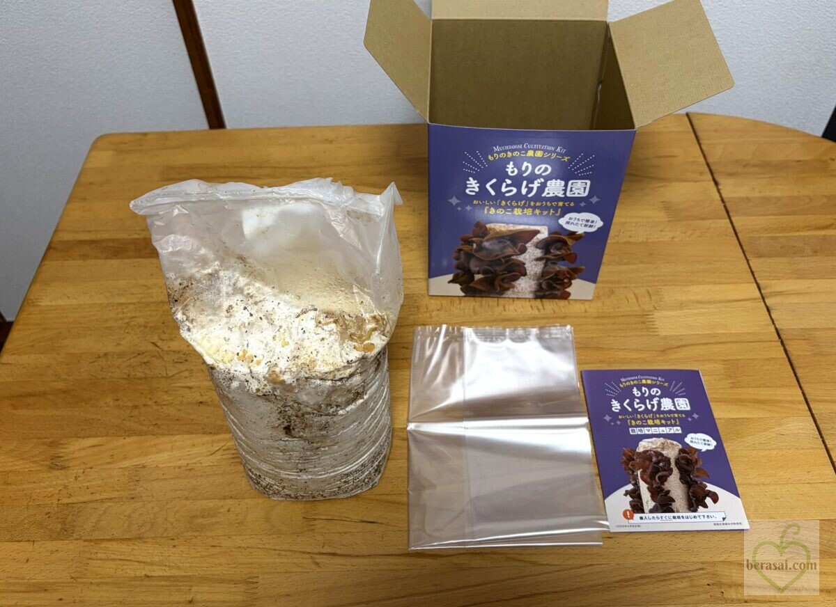 届いたキクラゲ菌床のセット一式
